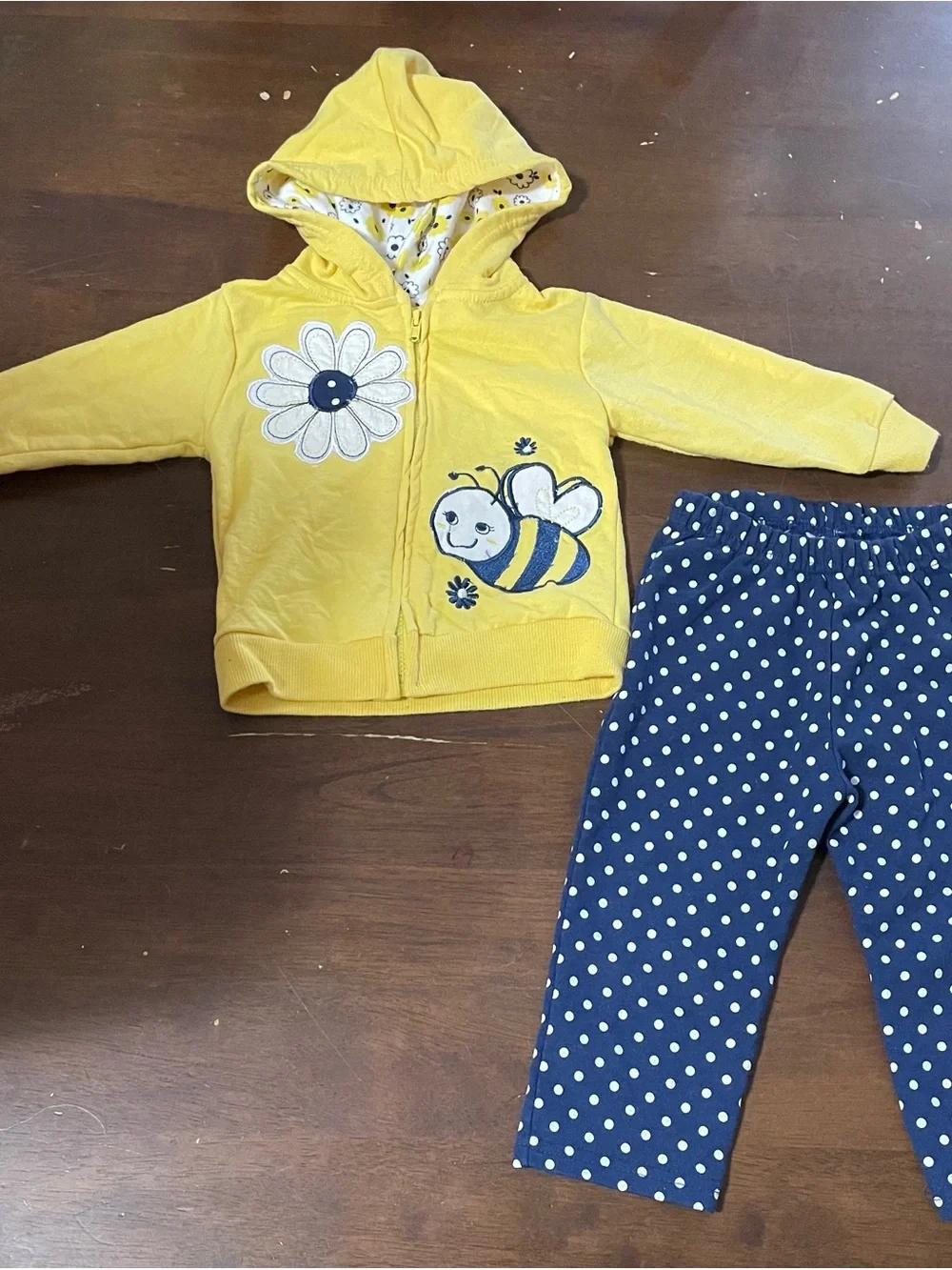 Vintage 2011 Carter's Watch The Wear Bumblebee Hoodie & Polka Dot Pants Set 12M